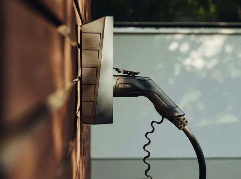 Lee más sobre el artículo The economic advantages